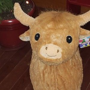 Meet your Posher, Janet